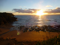 Photo10